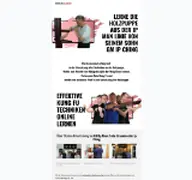 Kleine Seitenvorschau von holzpuppe.kungfustore.de