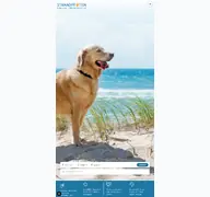 Kleine Seitenvorschau von strandpfoten.de