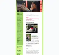 Kleine Seitenvorschau von familien-reitschule.de