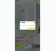 Kleine Seitenvorschau von atos.de