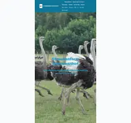 Kleine Seitenvorschau von straussenfarm-gemarkenhof.de