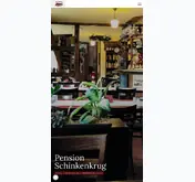 Kleine Seitenvorschau von der-schinkenkrug.de