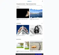 Kleine Seitenvorschau von digitipps.ch