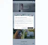Kleine Seitenvorschau von galopp-store.de