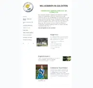 Kleine Seitenvorschau von goldstein-stadtteil.de