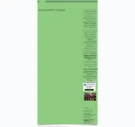 Kleine Seitenvorschau von auenkantorei.de