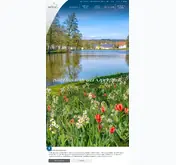 Kleine Seitenvorschau von auerbach.de