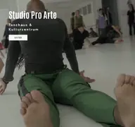 Kleine Seitenvorschau von studioproarte.de