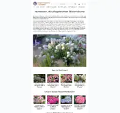 Kleine Seitenvorschau von hortensie.de