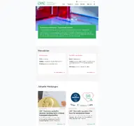 Kleine Seitenvorschau von dife.de