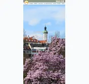 Kleine Seitenvorschau von aufrecht-immo.de