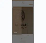 Kleine Seitenvorschau von orthopaedie-wernau.de