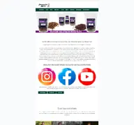 Kleine Seitenvorschau von successful-baits.de