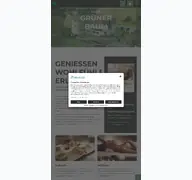 Kleine Seitenvorschau von hotelgruenerbaum.de