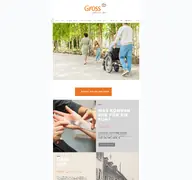 Kleine Seitenvorschau von gross-ludwigsburg.de