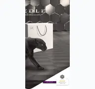 Kleine Seitenvorschau von riedle.de