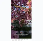Kleine Seitenvorschau von grundschule-im-blumenviertel.de