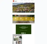 Kleine Seitenvorschau von ringelbach.de