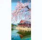 Kleine Seitenvorschau von suedkorea-reisen.de
