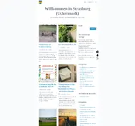 Kleine Seitenvorschau von strasburger-anzeiger.de