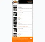Kleine Seitenvorschau von auktionen.anticomondo.de