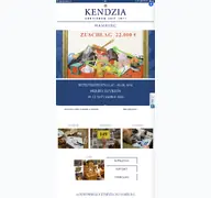 Kleine Seitenvorschau von auktion-kendzia.de