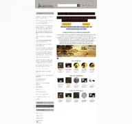 Kleine Seitenvorschau von aurinum.de