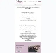 Kleine Seitenvorschau von tanzshop-wagenbach.de