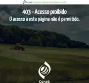 Kleine Seitenvorschau von conab.gov.br