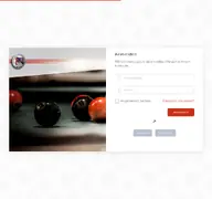 Kleine Seitenvorschau von hpbv-veveto.de