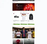 Kleine Seitenvorschau von deinsportsfreund.de