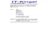 Kleine Seitenvorschau von it-ringel.de