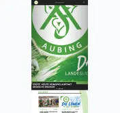 Kleine Seitenvorschau von svaubing.de