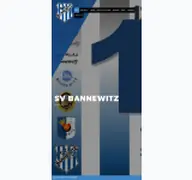 Kleine Seitenvorschau von sv-bannewitz.de