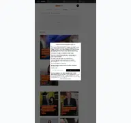 Kleine Seitenvorschau von vip.de