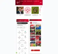 Kleine Seitenvorschau von svs-2020.de