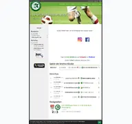 Kleine Seitenvorschau von sv-wernesgruen.de