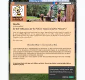Kleine Seitenvorschau von hundeverein-vier-pfoten.de