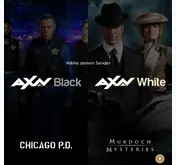 Kleine Seitenvorschau von axn.de
