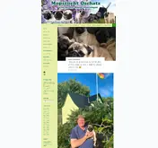Kleine Seitenvorschau von mopszucht-oschatz.de