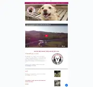 Kleine Seitenvorschau von gogu-shelter-romania.de