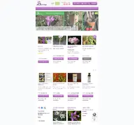 Kleine Seitenvorschau von syringa-pflanzen.de