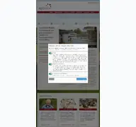 Kleine Seitenvorschau von systelios.de