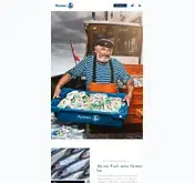 Kleine Seitenvorschau von sywan.de