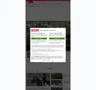 Kleine Seitenvorschau von cavallo.de