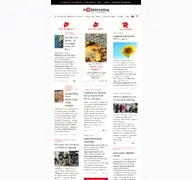 Kleine Seitenvorschau von diebildschirmzeitung.de