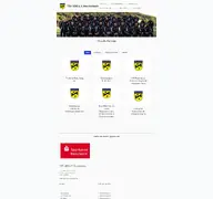 Kleine Seitenvorschau von tsv-reichenbach.de