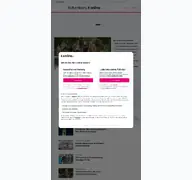 Kleine Seitenvorschau von hamburg.t-online.de