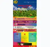 Kleine Seitenvorschau von flower-power.de