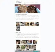 Kleine Seitenvorschau von frenchbulldogge.de